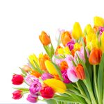 bunter Blumenstrauß